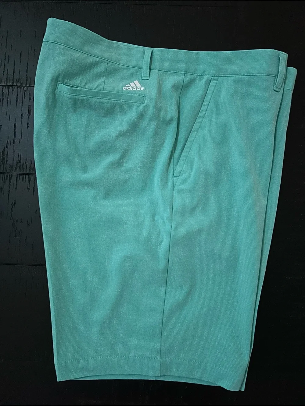 adidas Mint Green Men's Golf Shorts